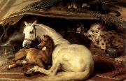 Sir Edwin Landseer The Arab Tent oil painting artist